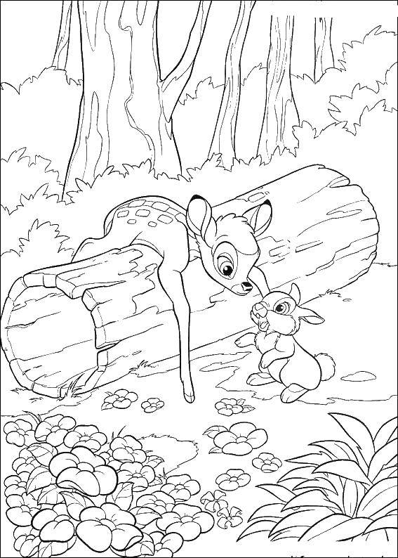 Coloring Cartoon Bambi. Category Bambi. Tags:  Bambi, cartoons, rabbit, deer.