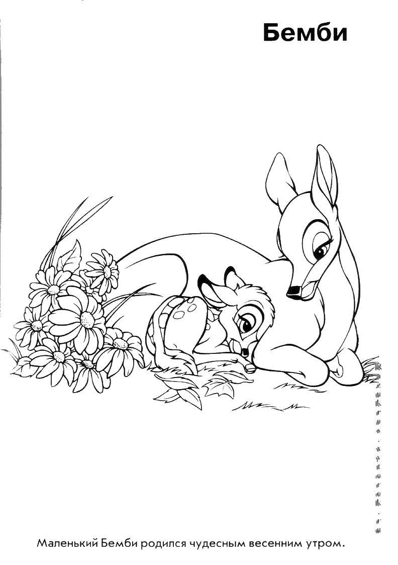 Coloring Cartoon Bambi. Category Bambi. Tags:  Bambi, cartoon, deer.