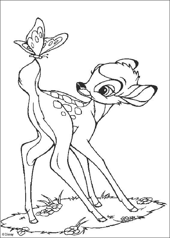 Coloring The deer Bambi and the butterfly. Category Bambi. Tags:  Bambi, cartoon, deer.