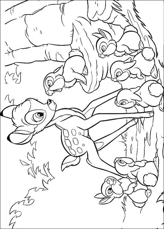 Название: Раскраска Олененок бэмби и зайчики. Категория: бэмби. Теги: Бэмби, мультфильмы, сова.