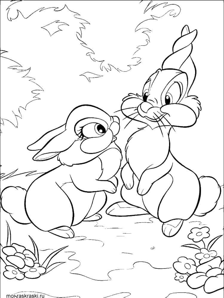 Coloring Thumper in love. Category Bambi. Tags:  Bambi, Faline.