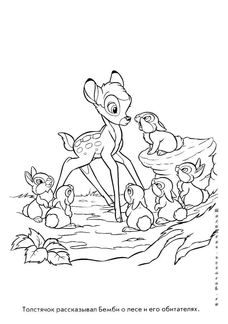 Coloring Cartoon Bambi. Category Bambi. Tags:  Bambi, cartoon, deer, Bunny.