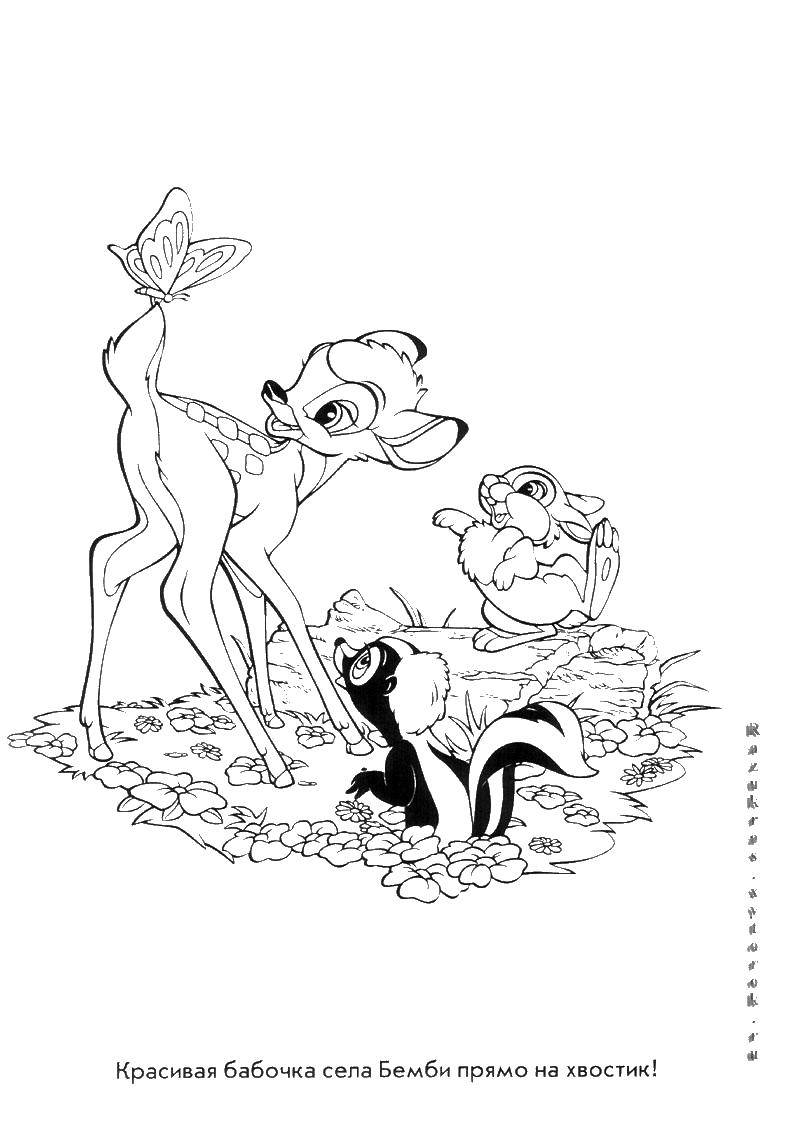 Coloring Cartoon Bambi. Category Bambi. Tags:  Bambi, cartoon, deer, skunk.