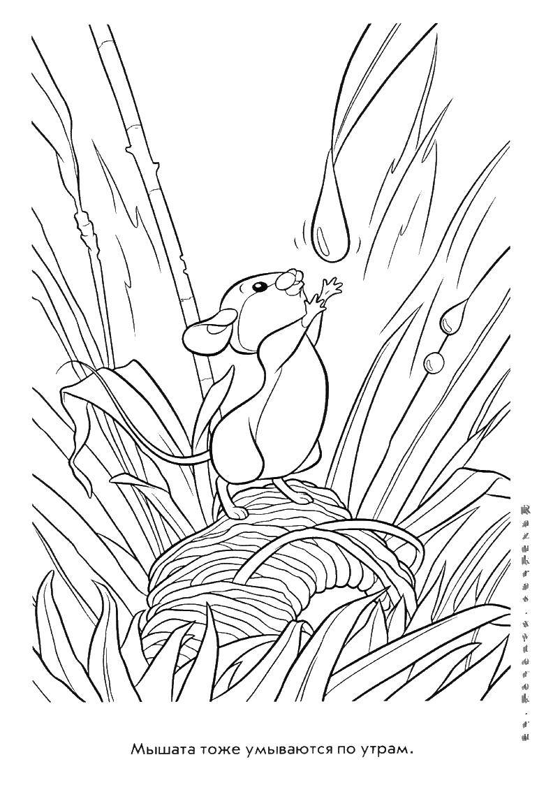 Coloring Cartoon Bambi. Category Bambi. Tags:  Bambi, cartoons, mouse.