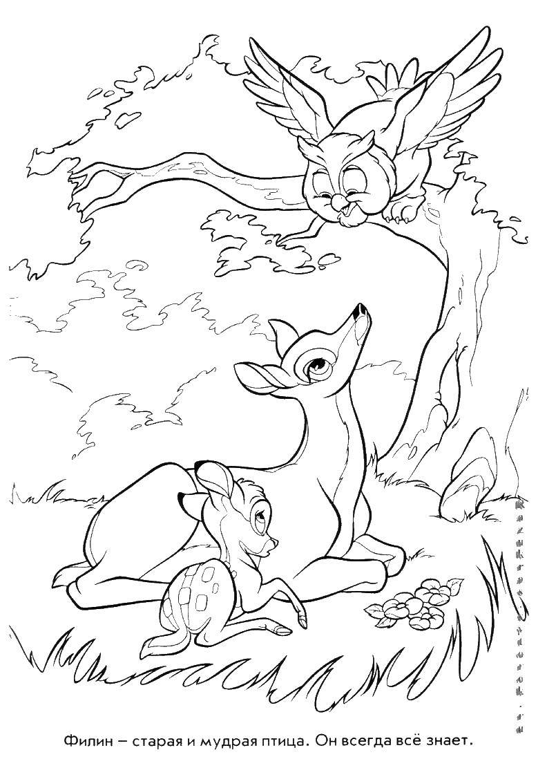 Coloring Cartoon Bambi. Category Bambi. Tags:  Bambi, cartoon, deer, owl.
