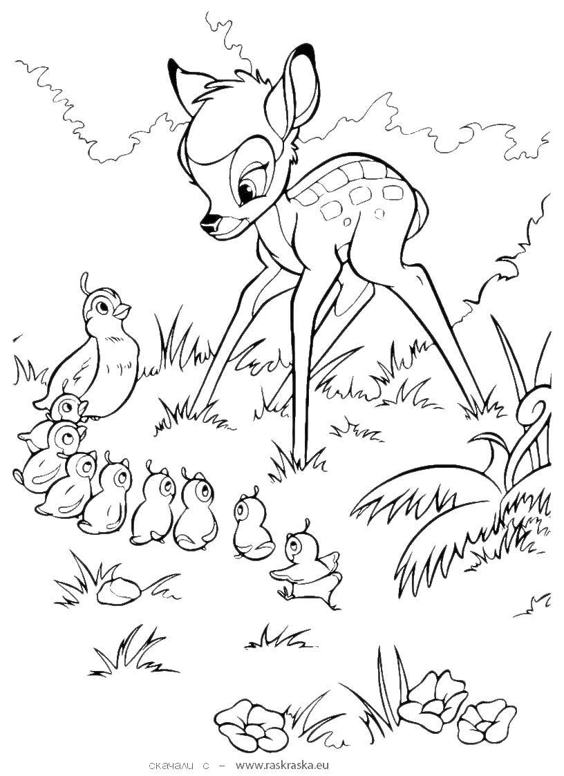 Coloring Cartoon Bambi. Category Bambi. Tags:  Bambi, cartoon, deer, birds.