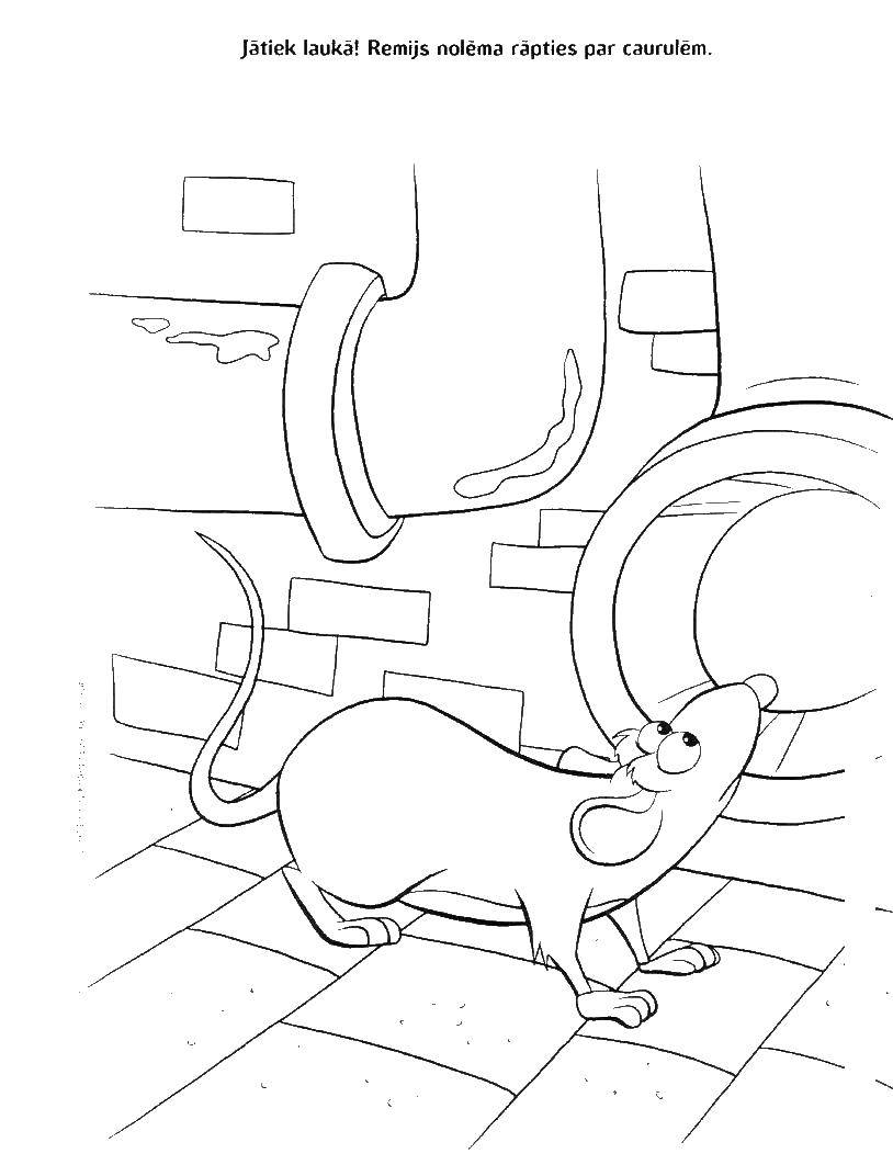 Coloring Ratatouille. Category Ratatouille. Tags:  Ratatouille, cartoon, mouse, cook.