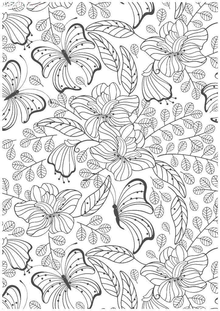 Coloring Flowers and butterfly. Category patterns. Tags:  flowers, butterfly.