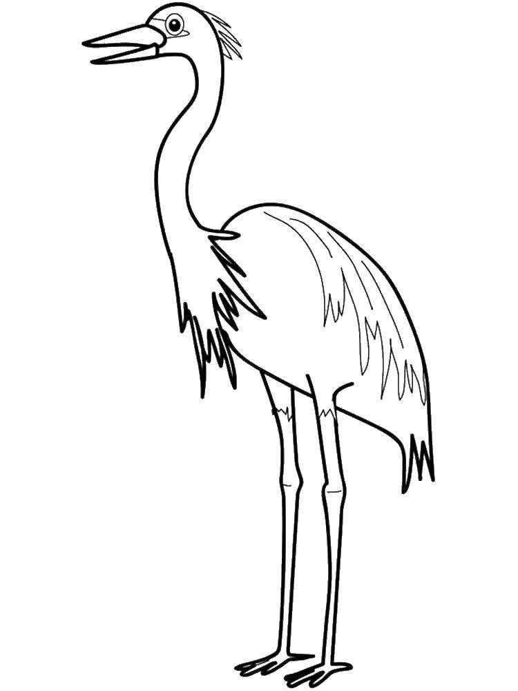 Coloring A long-legged Heron. Category Crane and Heron. Tags:  Tales, Crane and Heron.