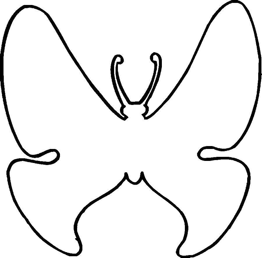 Название: Раскраска Дорисуй бабочку. Категория: бабочки. Теги: бабочка.