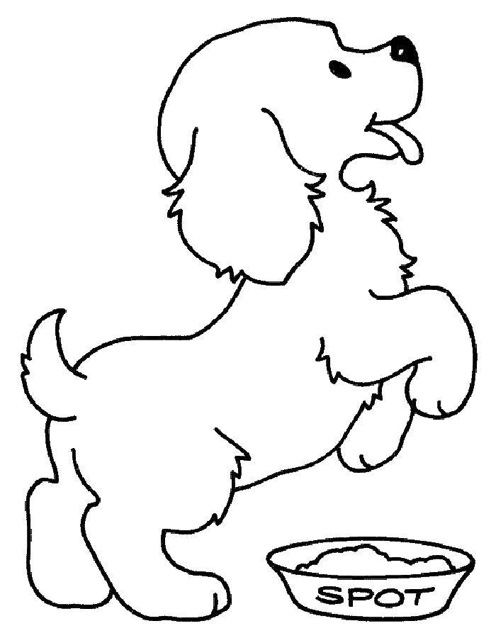 Coloring Dog. Category Animals. Tags:  animals, dog, puppy, dog.