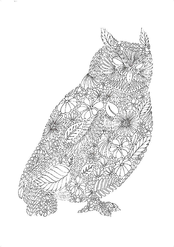 Coloring Owl patterns. Category patterns. Tags:  Owl patterns.
