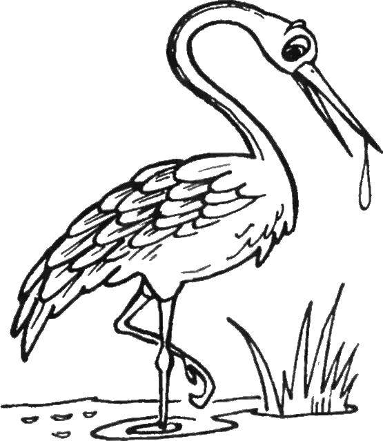 Coloring Heron. Category Crane and Heron. Tags:  Fairy tales.