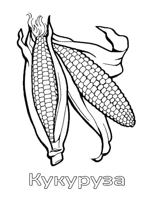 Coloring Corn. Category vegetables. Tags:  Vegetables.