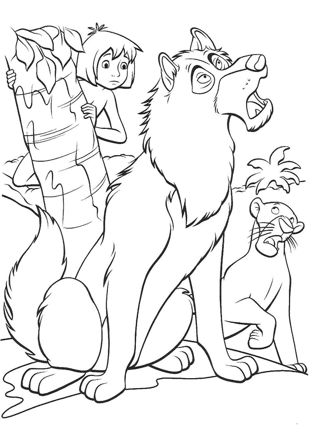 Coloring Mowgli. Category Mowgli. Tags:  cartoon, Mowgli.