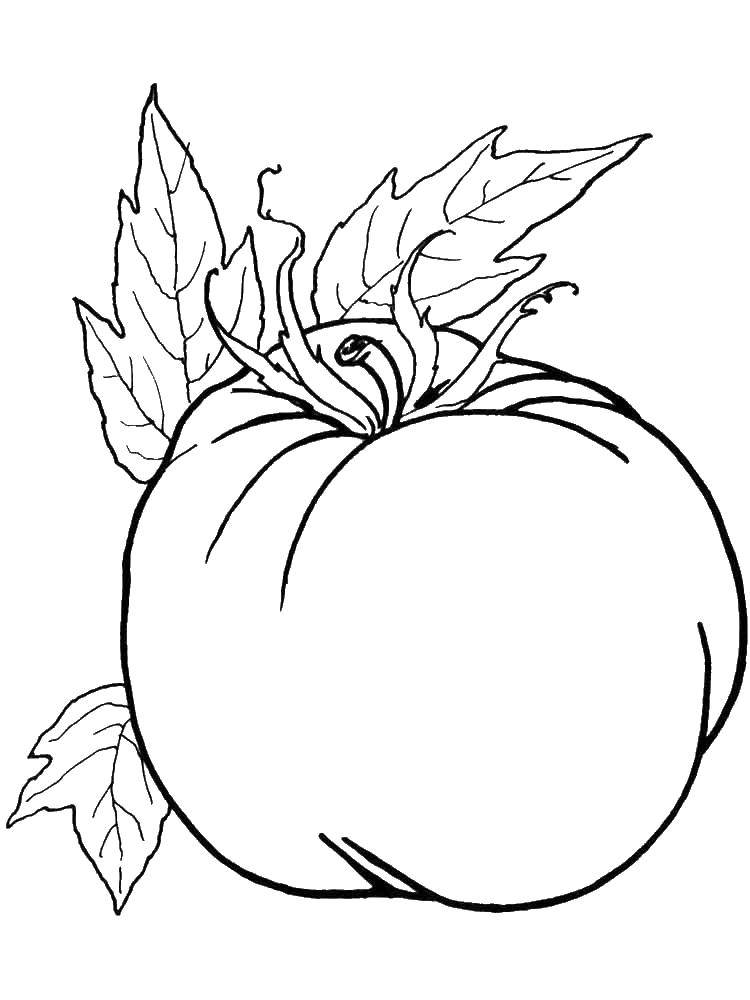 Название: Раскраска Помидор. Категория: помидор. Теги: овощи, помидор.