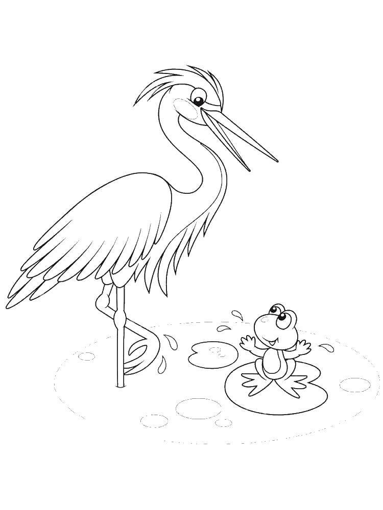 Coloring The Heron and the frog. Category Crane and Heron. Tags:  Tales, Crane and Heron.