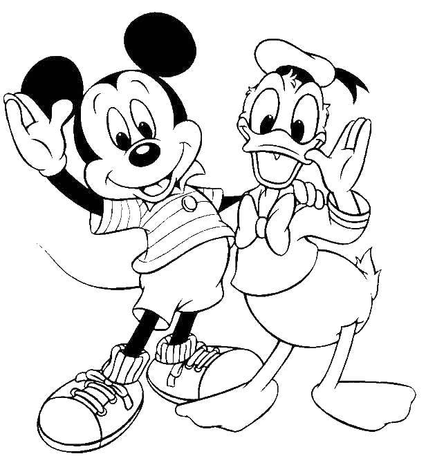 Coloring Mickey mouse and Donald duck. Category Disney cartoons. Tags:  Disney, Ducktales, Donald Duck, Mickey Mouse.