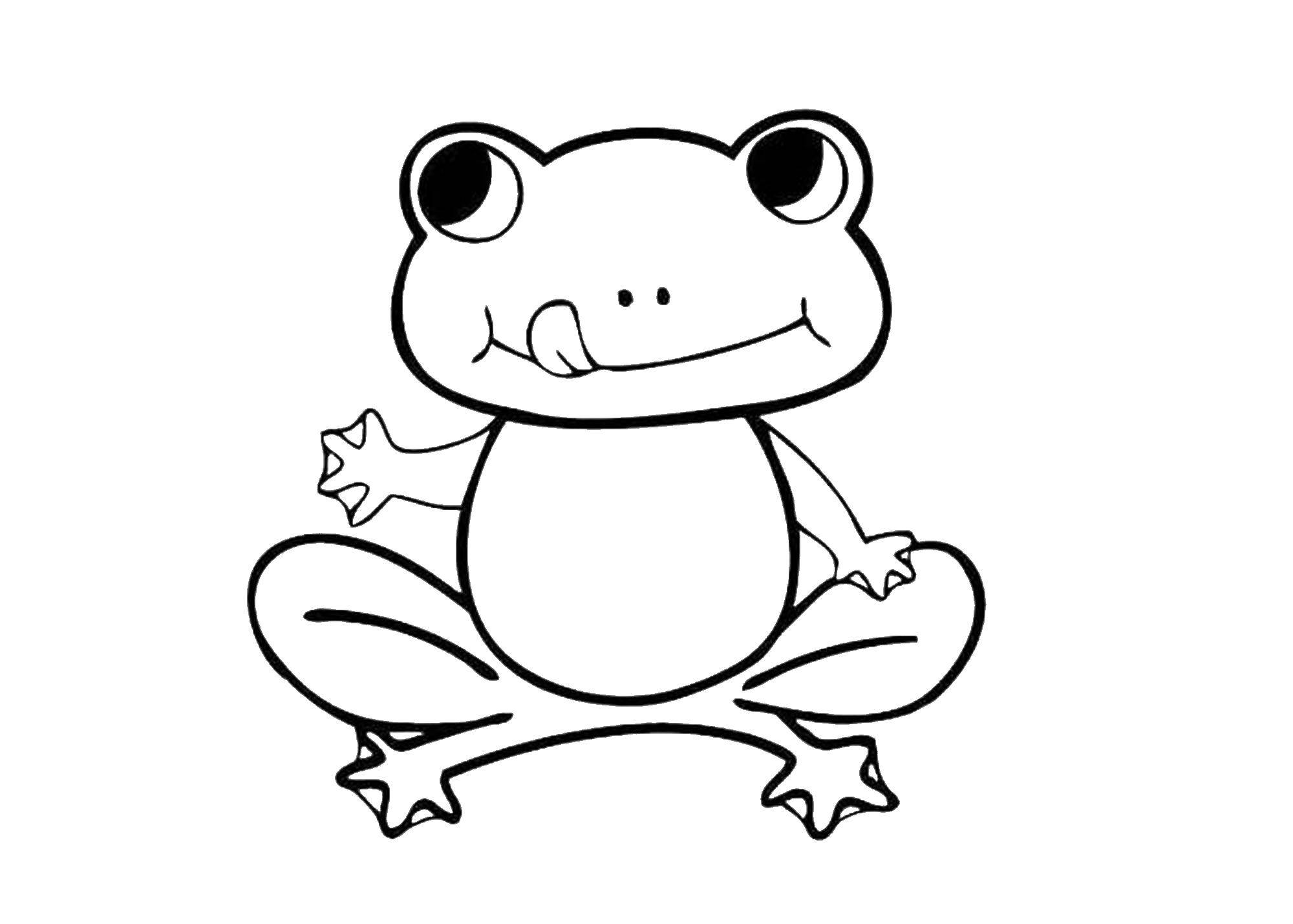 Coloring Cute frog. Category Animals. Tags:  animals, frog.