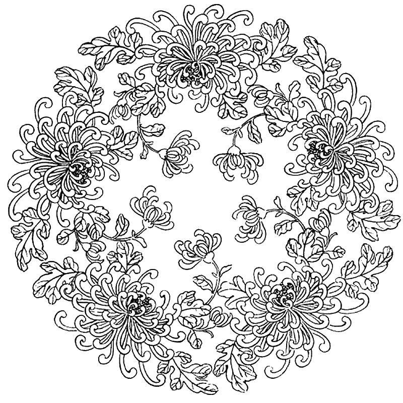 Coloring Flowers. Category patterns. Tags:  flowers.