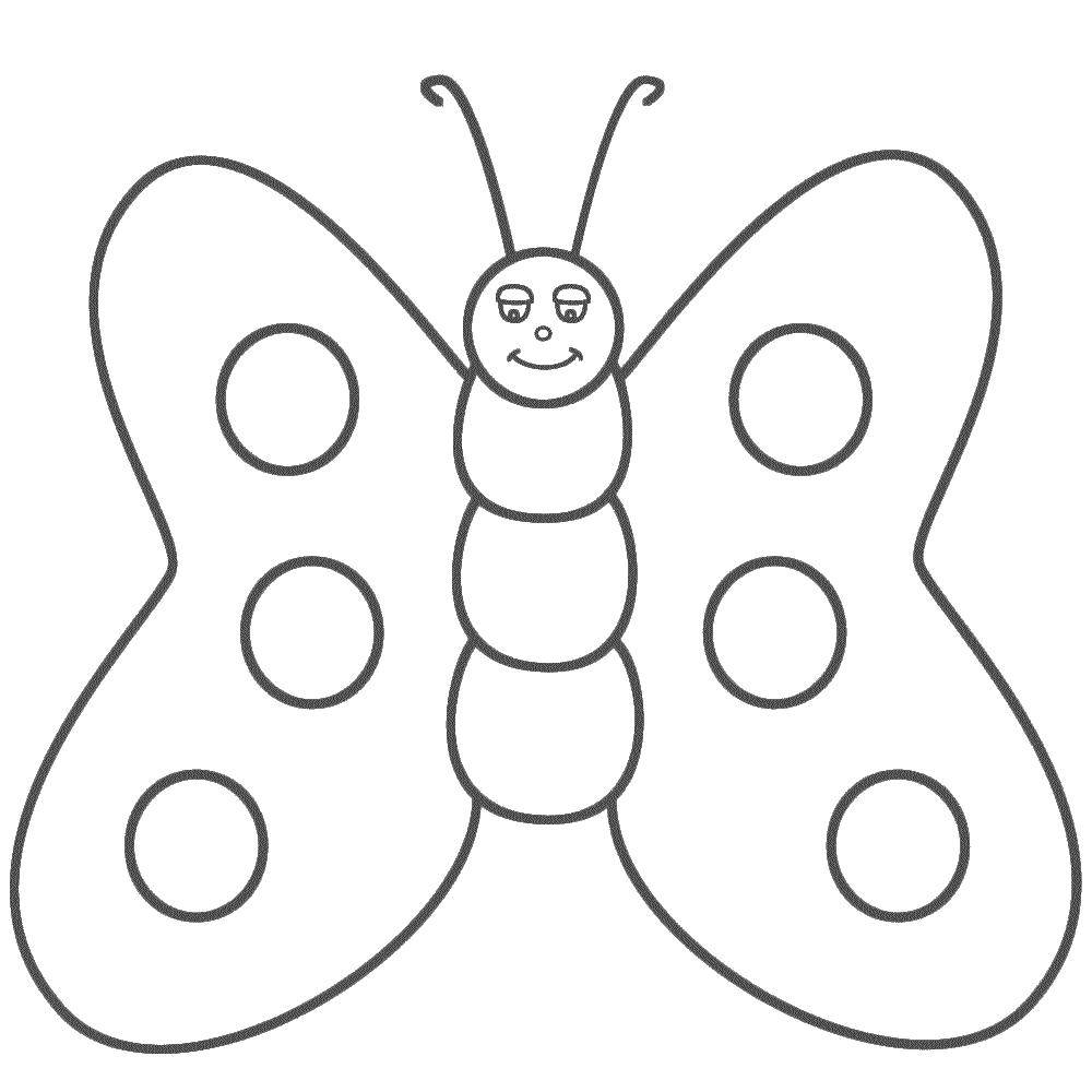 Детская раскраска бабочка