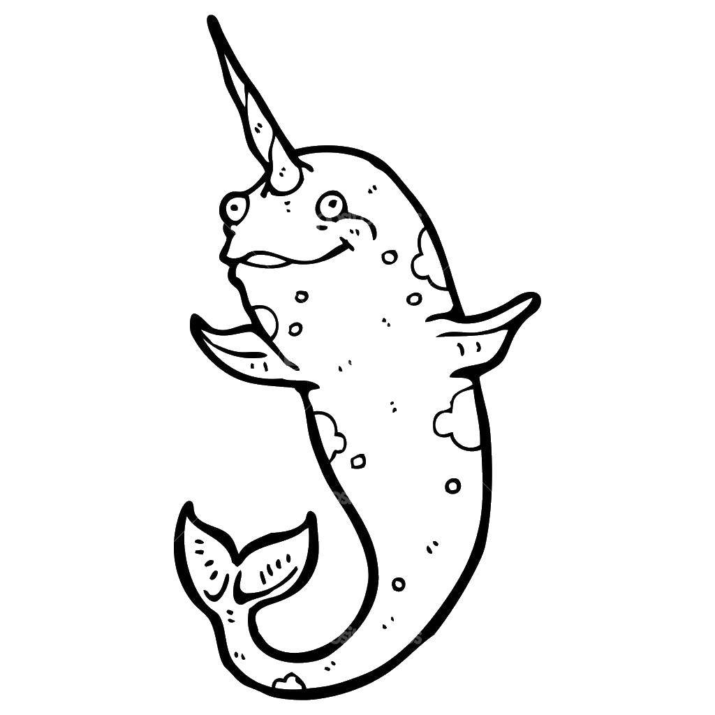 Coloring Dolphin unicorn. Category Animals. Tags:  animals, Dolphin, unicorn.