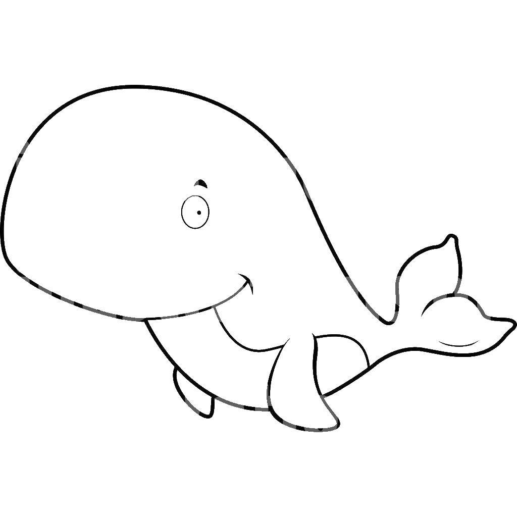 Раскраска кит – Математические картинки