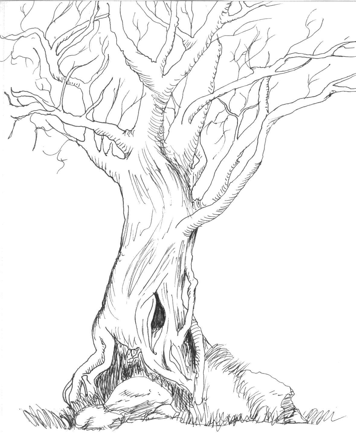 Название: Раскраска Сухое деревце. Категория: дерево. Теги: Деревья.