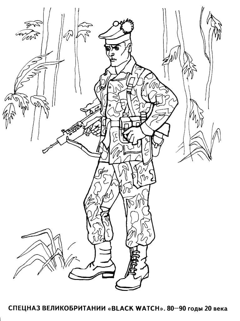 Coloring Special forces of the UK black watch. Category coloring. Tags:  war, soldiers, special forces, UK.