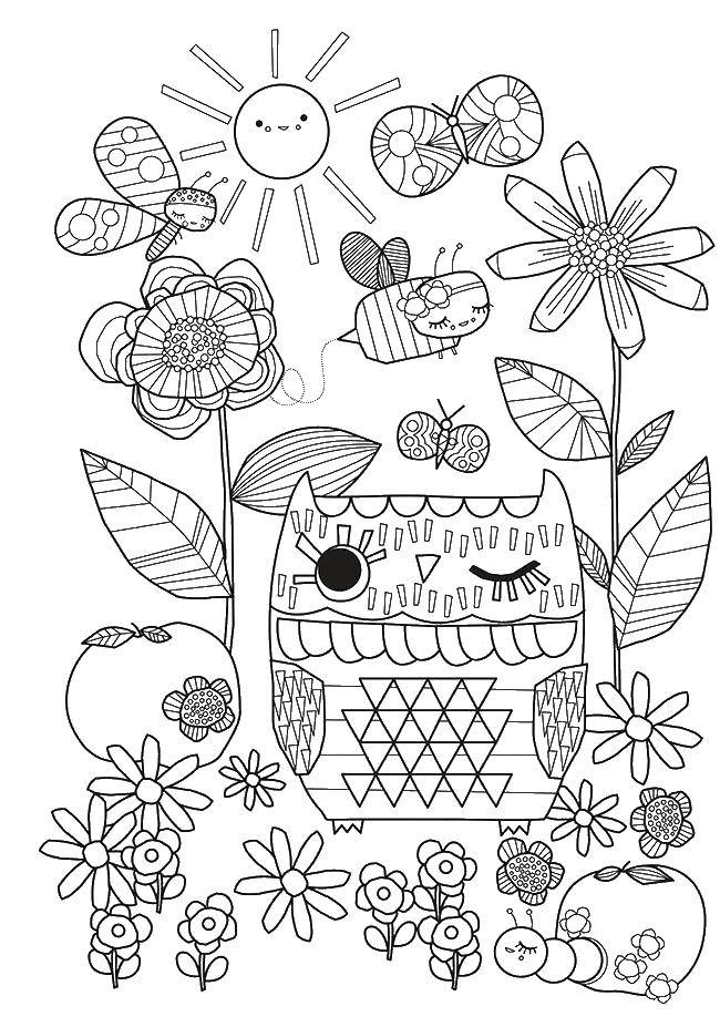 Coloring Flowers and owl. Category patterns. Tags:  pattern, owl, flowers.