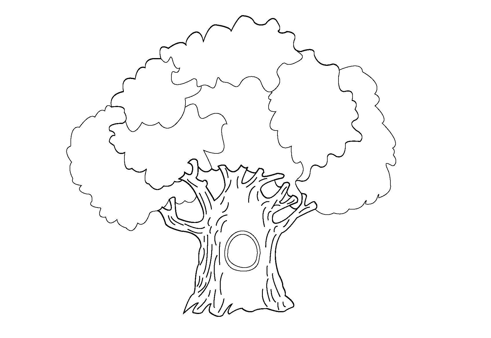 Название: Раскраска Дерево с дуплом. Категория: дерево. Теги: Деревья, лист.