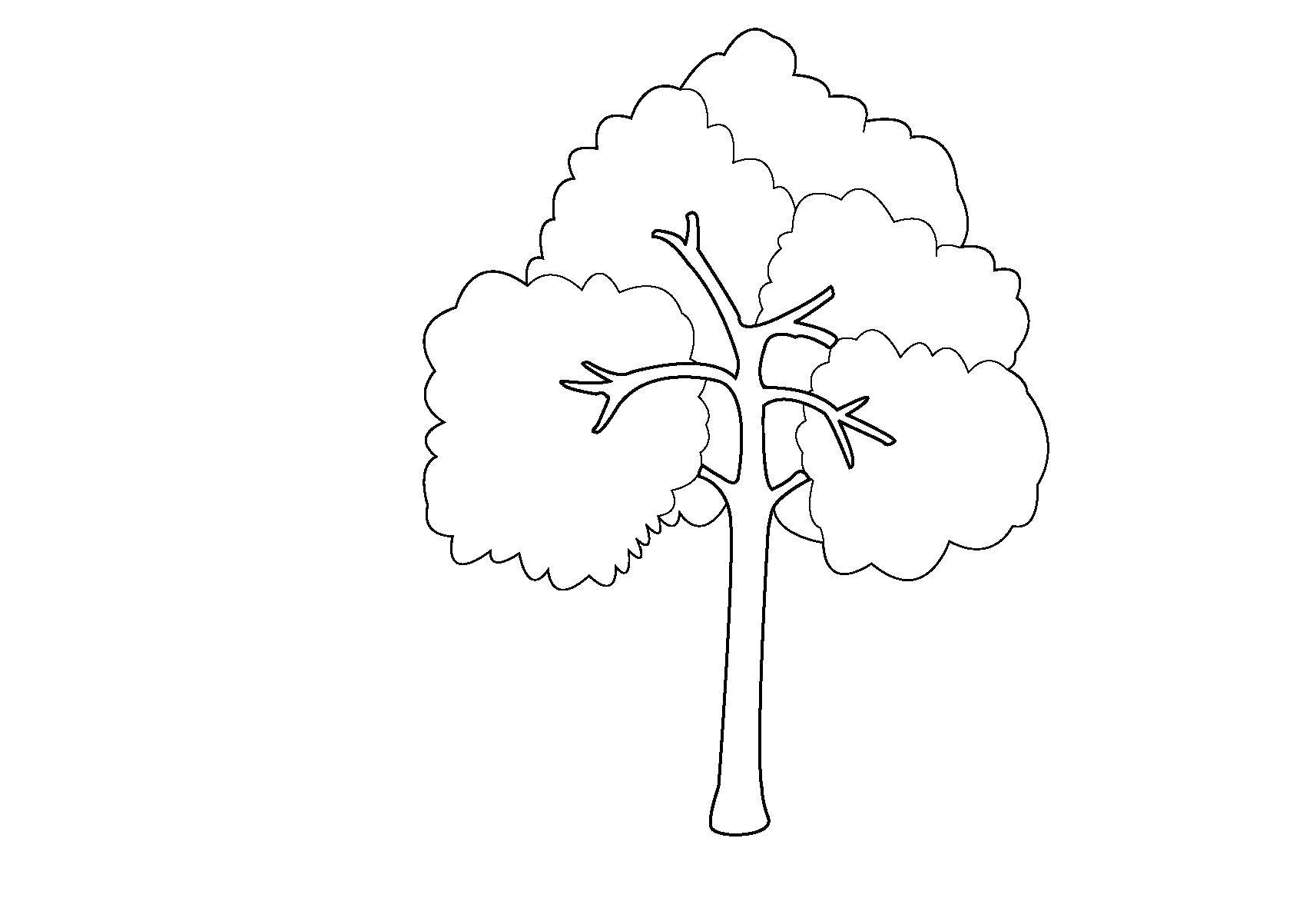 Coloring Tree. Category tree. Tags:  tree.