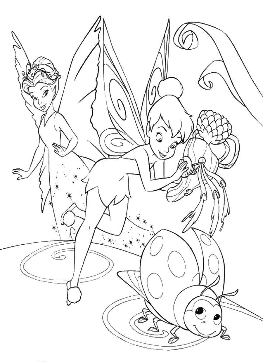 Coloring Tinker bell and Queen of the fairies. Category Ding , Ding Ding. Tags:  fairy, Tinker bell, vidia.