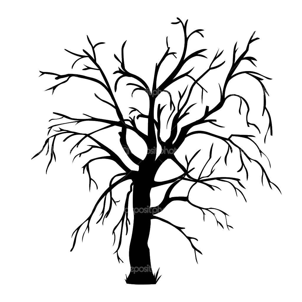 Название: Раскраска Контур дерева. Категория: дерево. Теги: дерево, контур.