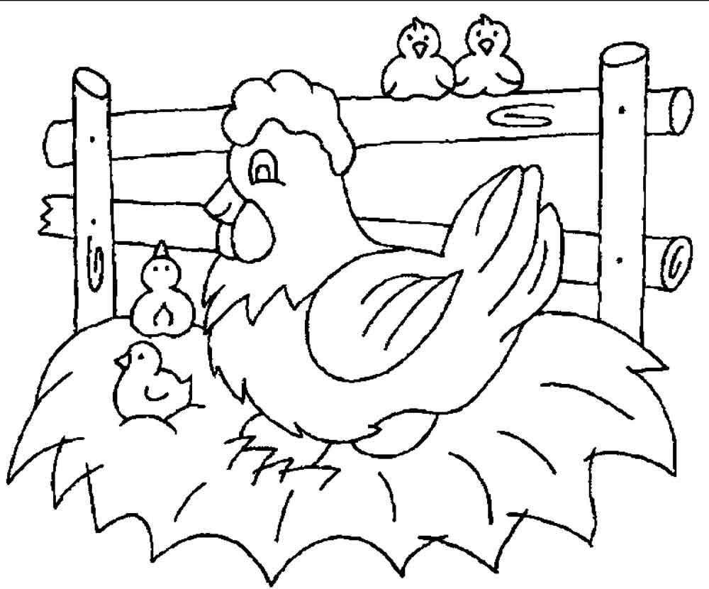 Название: Раскраска Курица наседка на гнезде с четыремя цыплятами. Категория: домашние животные. Теги: курица, гнездо, цыплята.