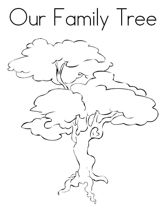 Название: Раскраска Семейное дерево. Категория: Семейное дерево. Теги: семейное дерево, листва.