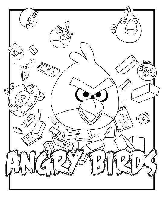 Coloring Angry birds. Category angry birds. Tags:  Games, Angry Birds .