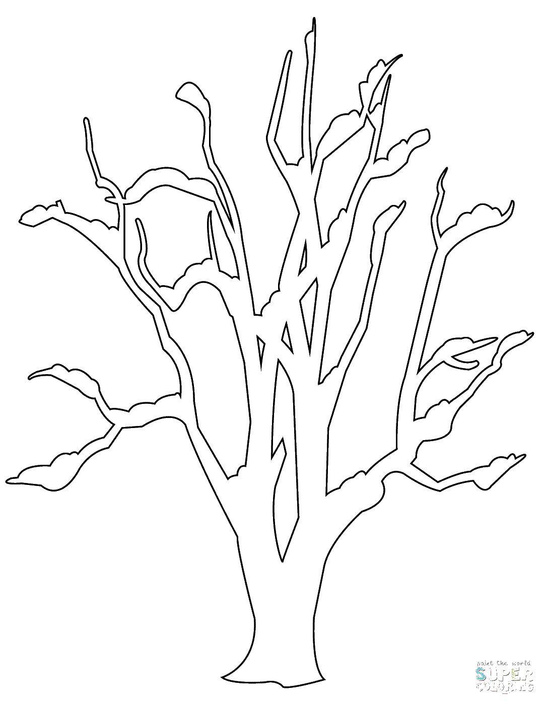 Название: Раскраска Дерево без листьев. Категория: дерево. Теги: Семейное дерево, дерево.