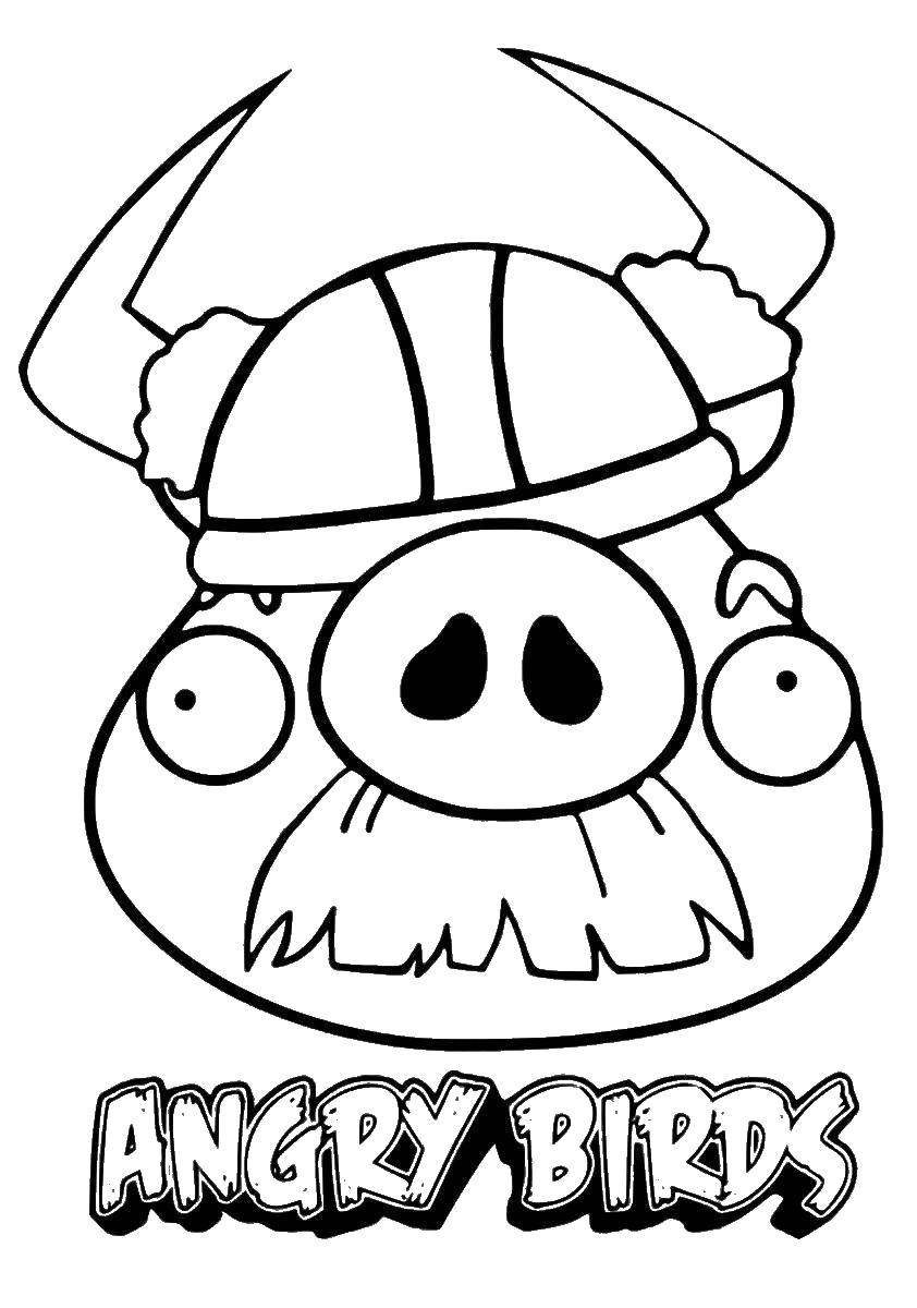 girl angry bird pig coloring pages