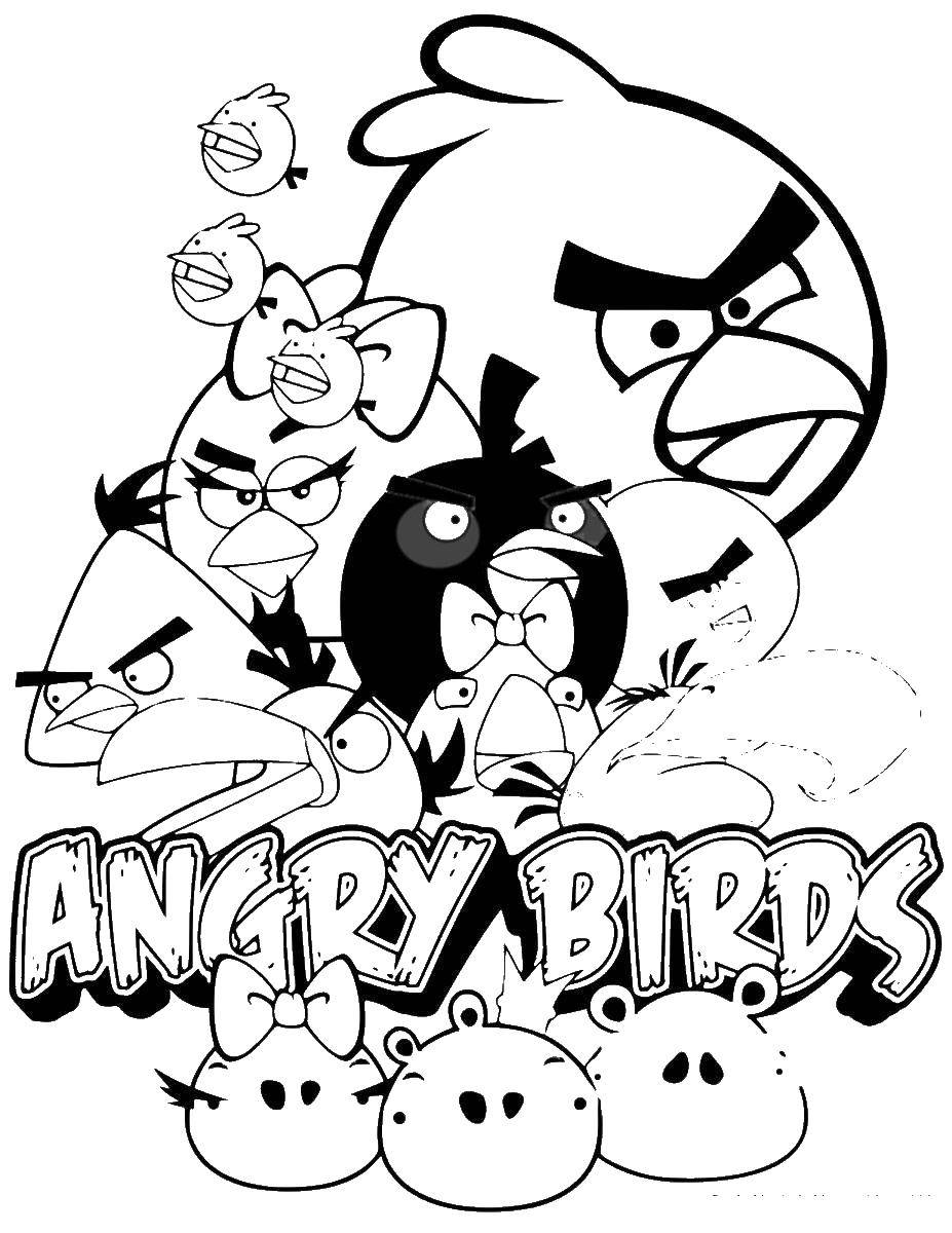 Название: Раскраска Энгри бердз. Категория: angry birds. Теги: энгри бердз, angry birds.