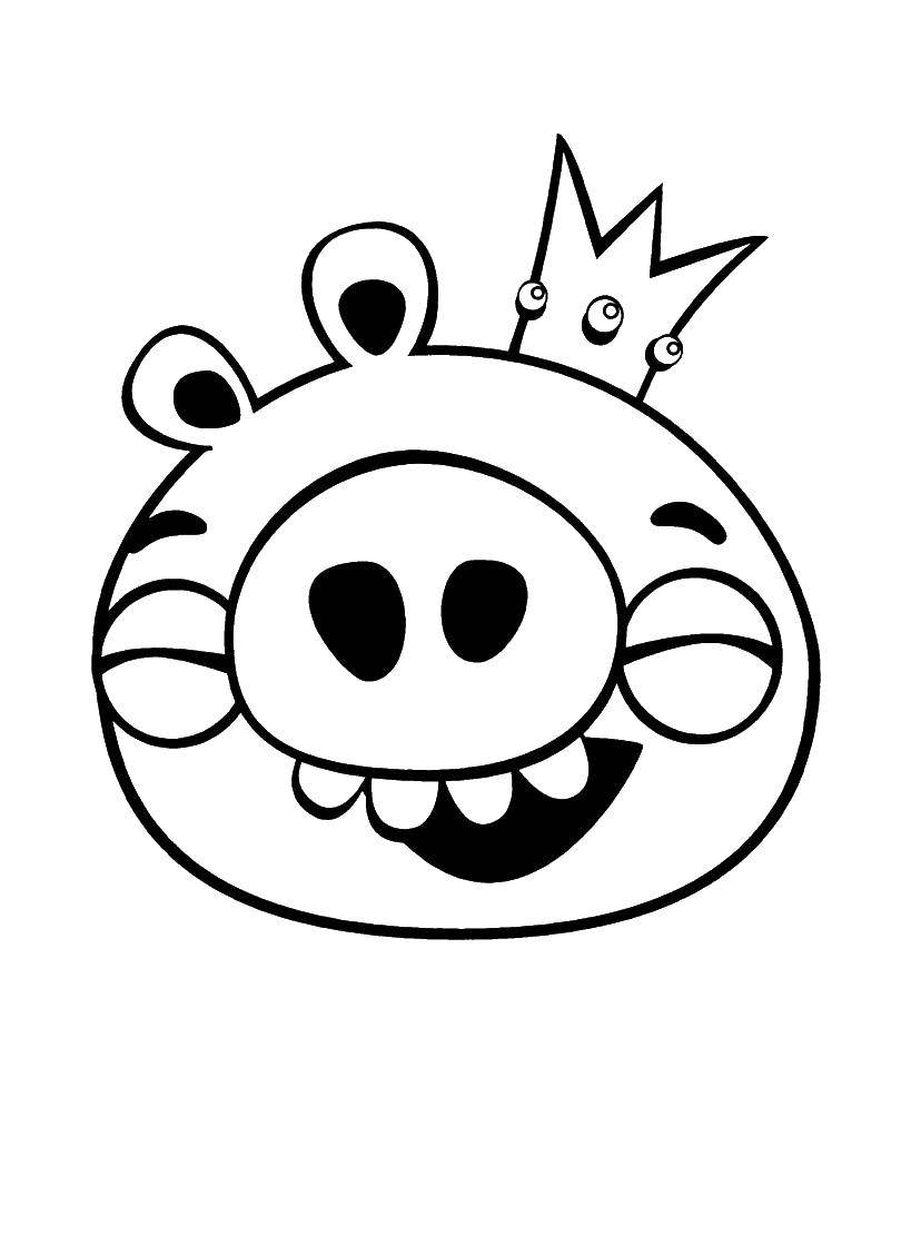 Coloring King pig. Category angry birds. Tags:  Games, Angry Birds .