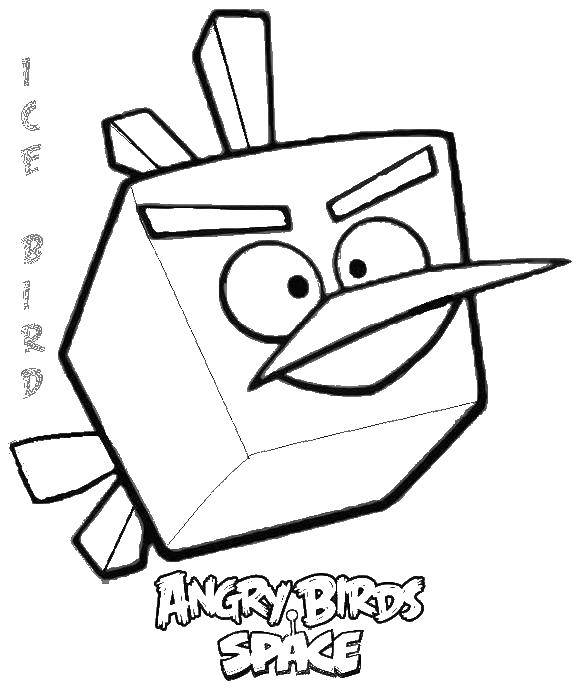Название: Раскраска Ледяная птичка. Категория: angry birds. Теги: Игры, Angry Birds .