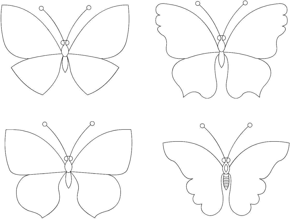 Coloring Draw a butterfly. Category butterflies. Tags:  butterfly.