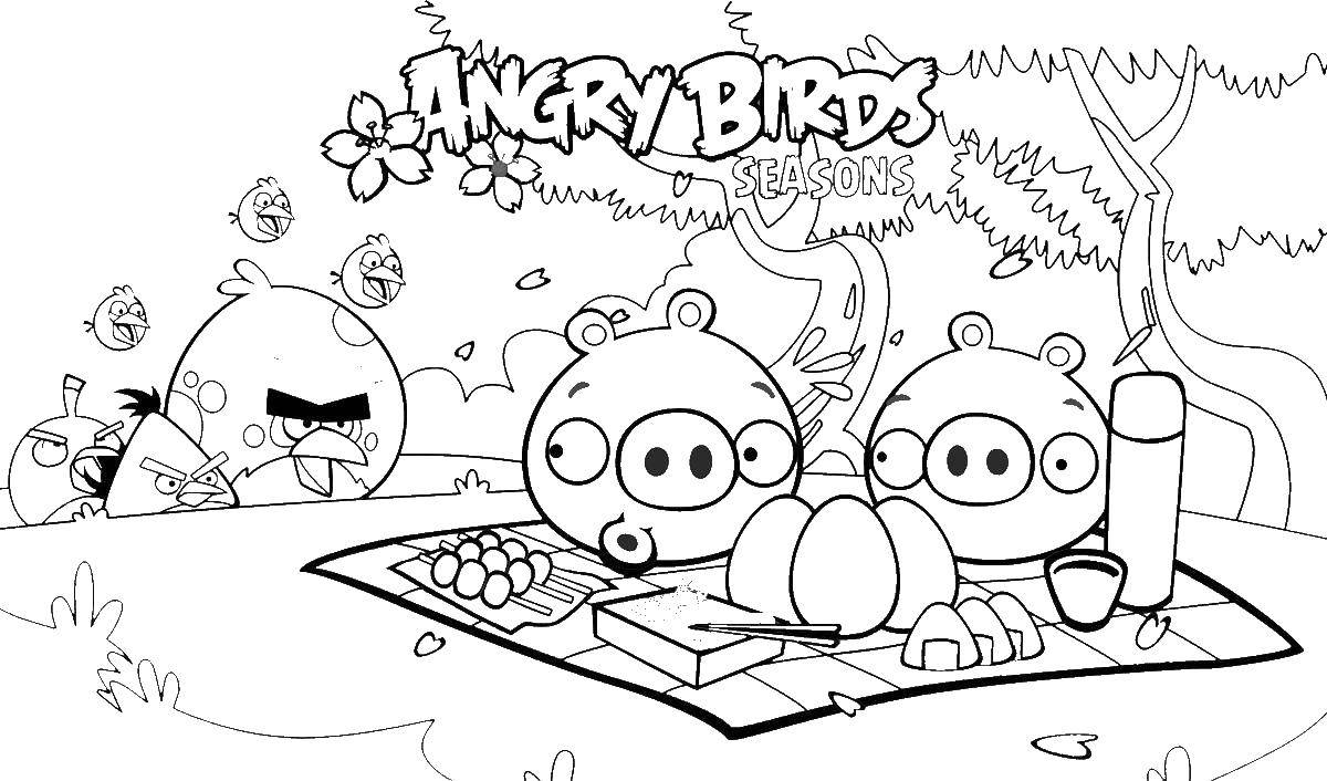 Название: Раскраска Птичка и свинки из angry birds . Категория: angry birds. Теги: Игры, Angry Birds .