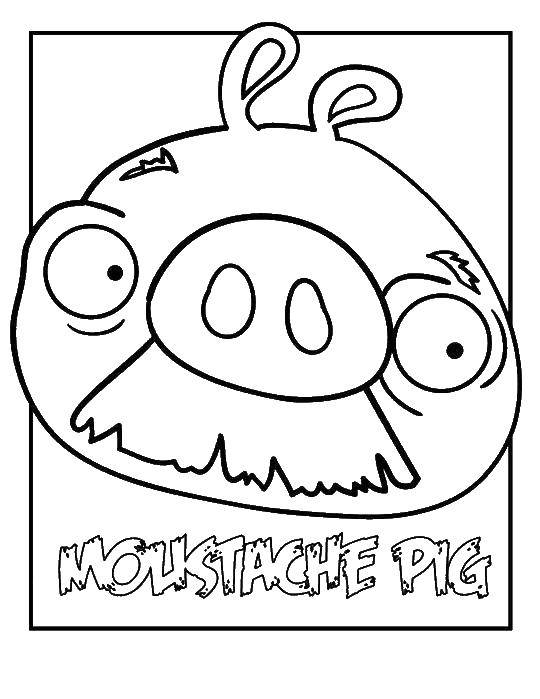 Coloring The pigs from angry birds. Category angry birds. Tags:  Games, Angry Birds .