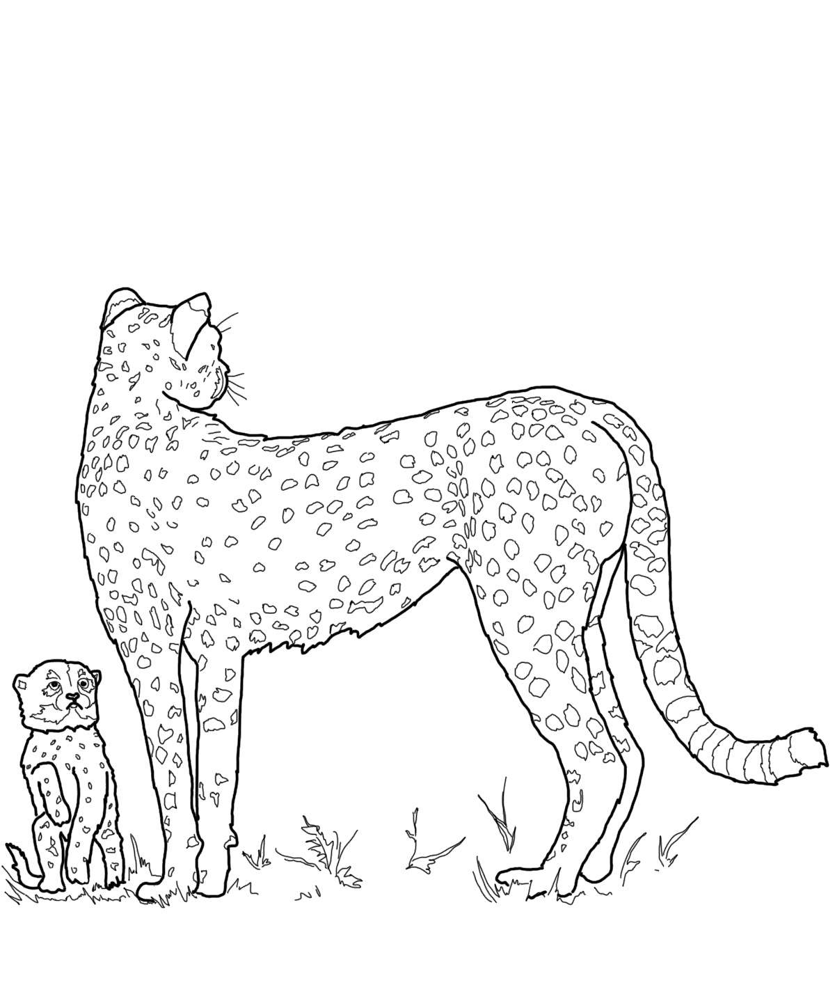 Название: Раскраска Мама гепард с детёнышем. Категория: семья животных. Теги: Семья, родители, дети.