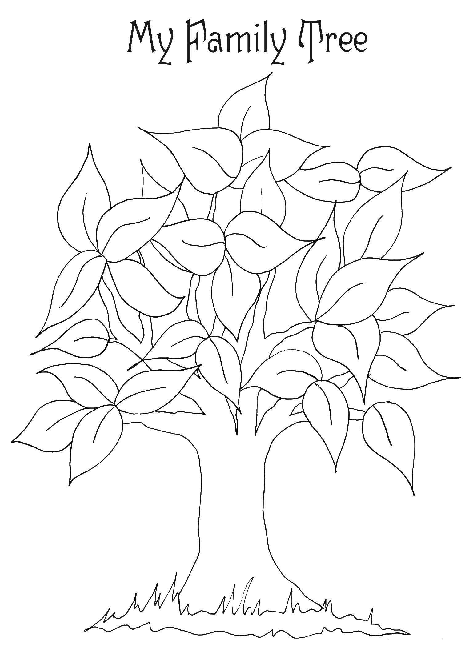 Coloring My family tree. Category Family tree. Tags:  Family, parents, children.