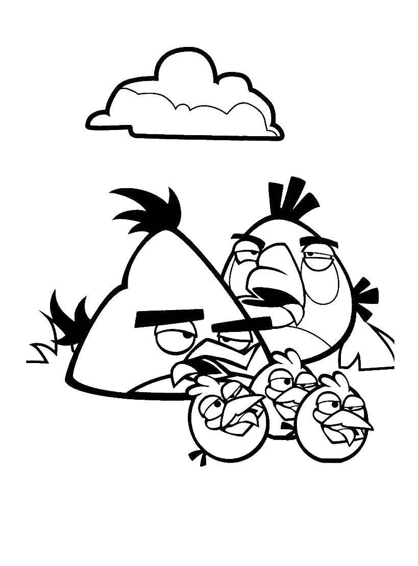 Coloring The birds from angry birds . Category angry birds. Tags:  Games, Angry Birds .