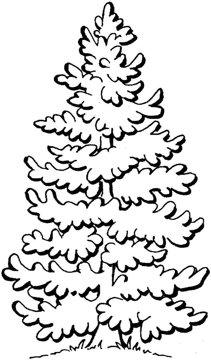 Coloring Herringbone. Category tree. Tags:  Trees, tree.