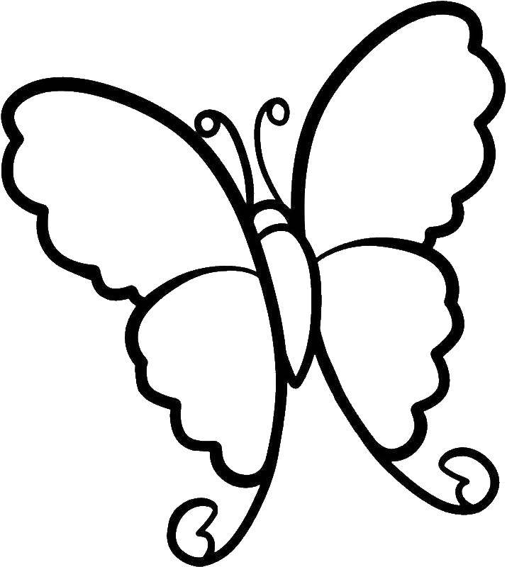 Coloring sheet butterfly Download fire, flame.  Print ,Fire,